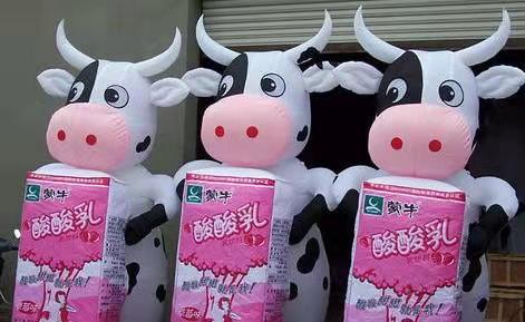 凤阳牛奶厂广告气模
